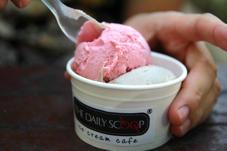 daily_scoop