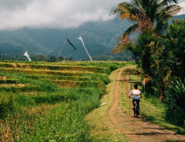Green Bikes Bali – Bike Tours For Kids And Families In Bali