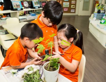 Top Quality Holistic Curriculum With My First Skool Singapore