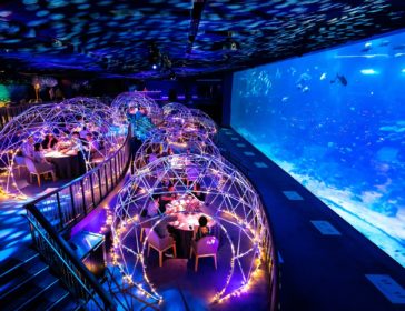 Dine With Fish At Aqua Gastronomy At Resorts World Sentosa In Singapore