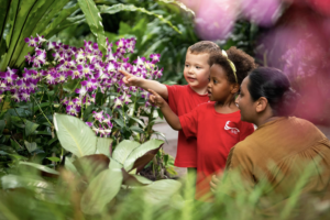 Enroll At Singapore American School’s Early Learning Centre