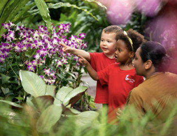 Enroll At Singapore American School’s Early Learning Centre
