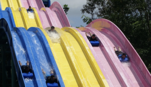 Ultimate Outdoor Adventure Park At ESCAPE In Penang