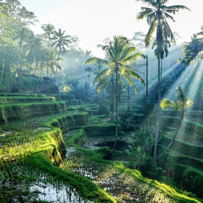 Ubud best villas Bali Little Steps Asia