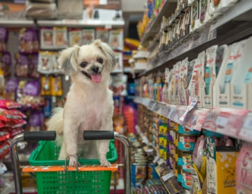 Best Pet Shops To Buy Pet Food And Supplies In Hong Kong