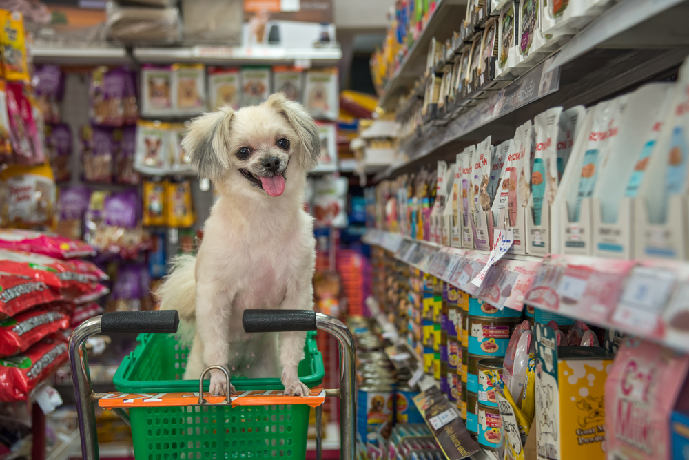 Top 10 Pet Supermarkets