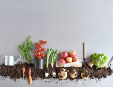Top 5 Urban Garden Companies For Rooftop Gardens In Hong Kong