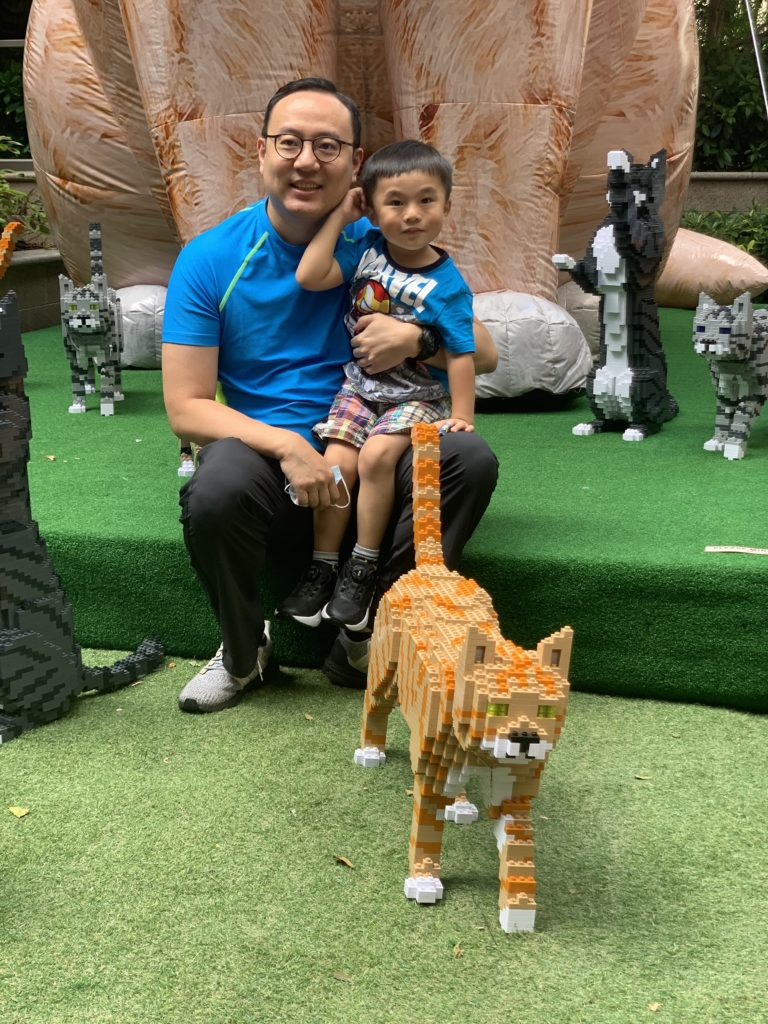 Cat Festival: Support Animal Welfare With SPCA