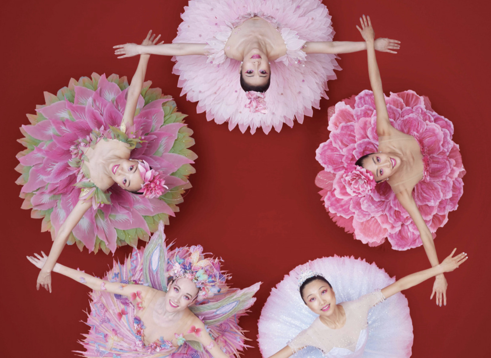 Tickets To The Nutcracker Ballet Hong Kong 2022 Little Steps