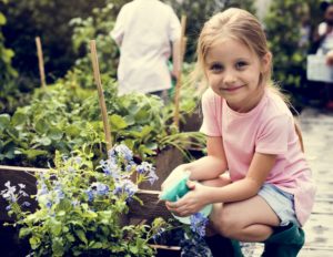 Family-Friendly Urban Farming Guide To Singapore