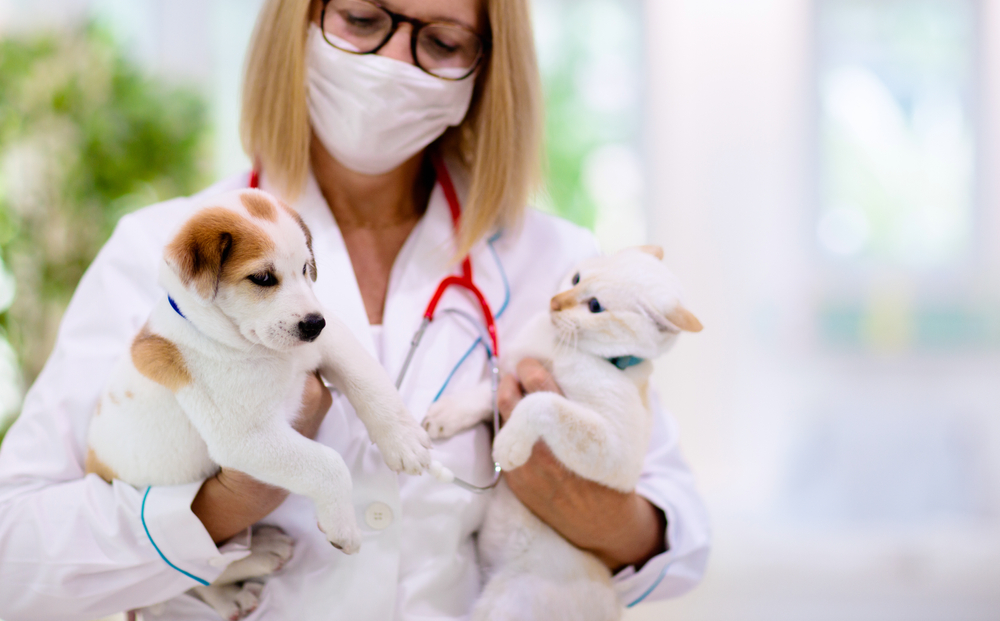 Top-Veterinarians-In-Singapore