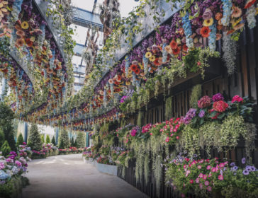 Explore Floral Fantasy At Gardens By The Bay In Singapore