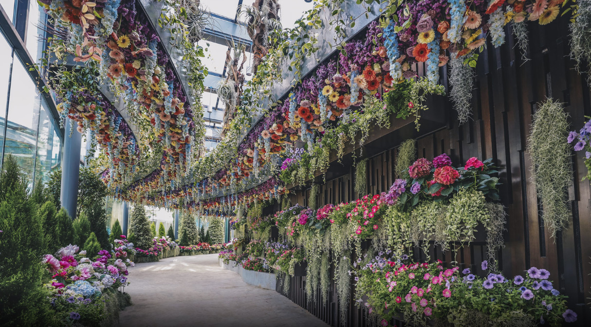 Image of Floral Fantasy At Gardens By The Bay
