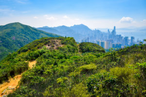 10 Hong Kong Hikes With The Best Views