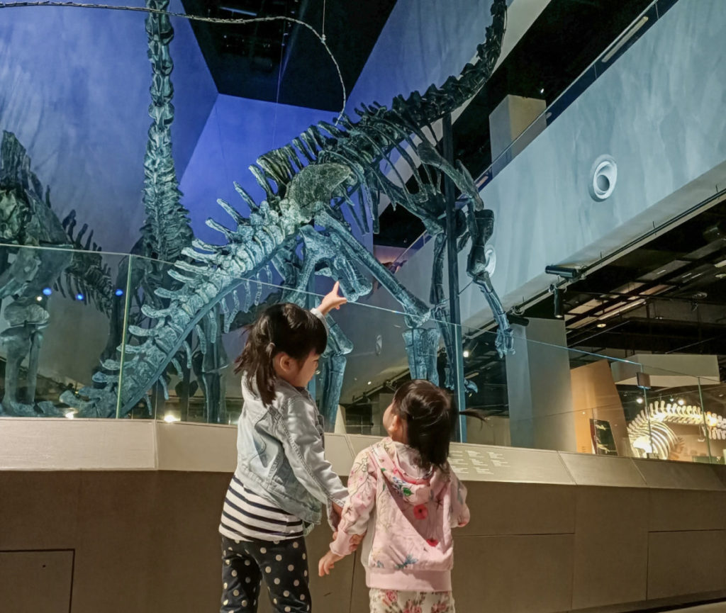 The Lee Kong Chian Natural History Museum