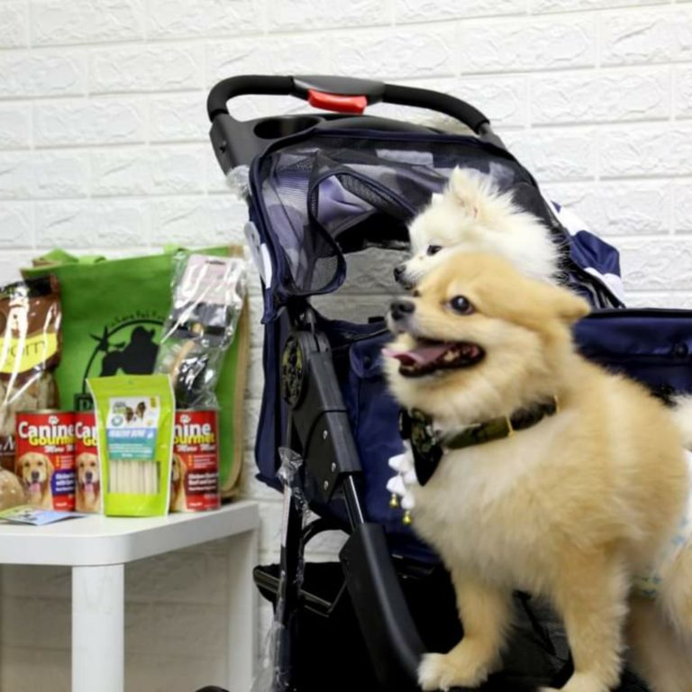 Pet's Station Top 10 Pet Supplies Singapore