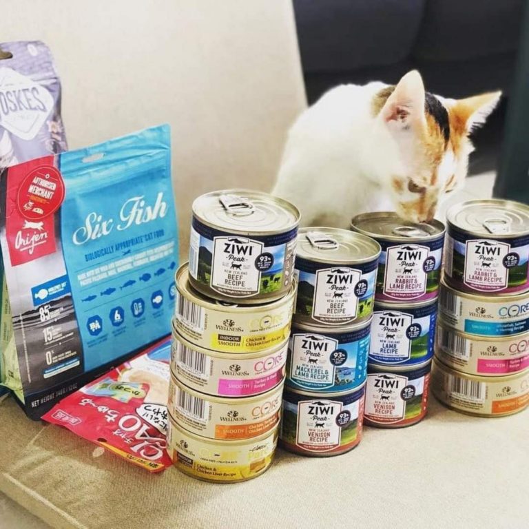 Polypet Top 10 Pet Supplies SIngapore