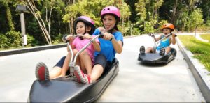 Skyline Luge Sentosa Thrilling High-Speed Ride For Kids In Singapore