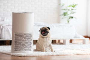 Top Air Purifiers In Singapore For Kids And Families