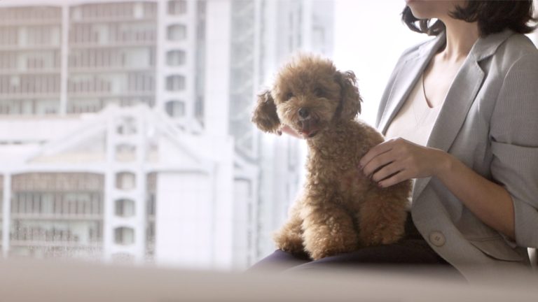Pet-Friendly Murray Hotel Hong Kong