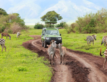 African Safaris For Families