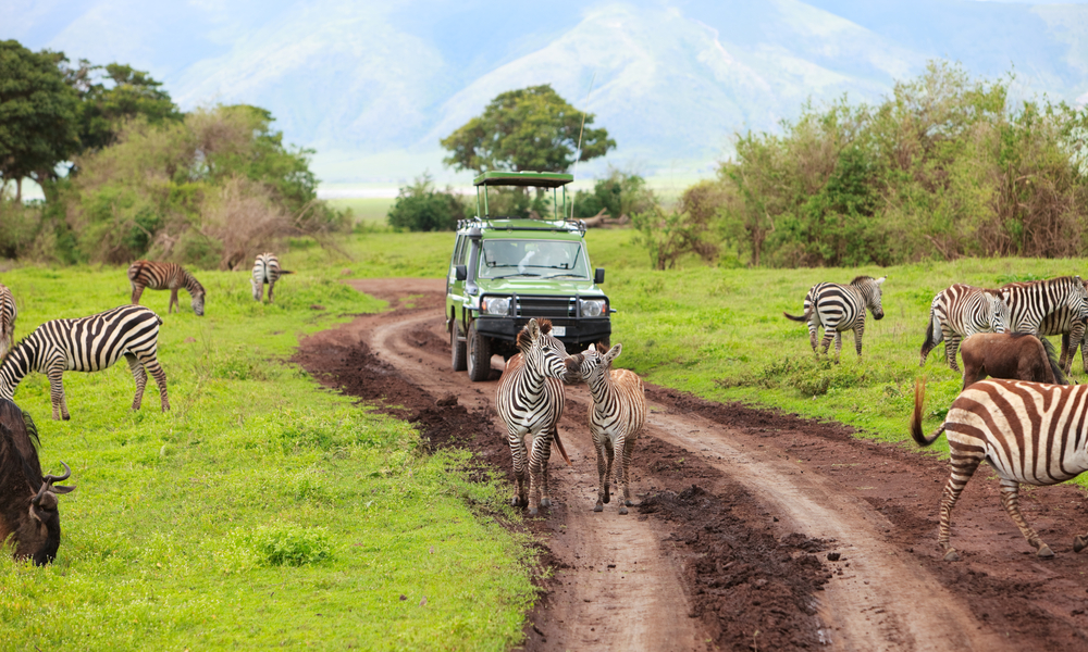 African Safaris For Families