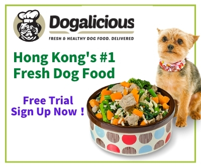 pet grooming kits for sale