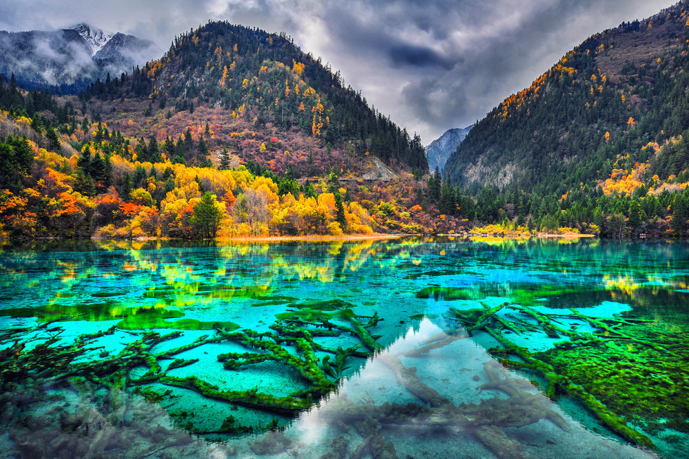 Off The Beaten Path Family-Friendly Destinations In Asia