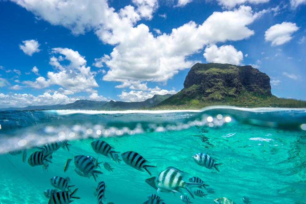 Family Guide To Visiting Mauritius With Kids