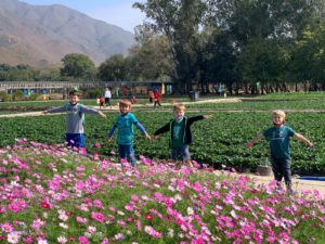 Where To Go Strawberry Picking And Visit Organic Farms With Kids In Hong Kong? *UPDATED