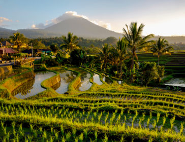 Family-Friendly Guide To Tabanan In Bali
