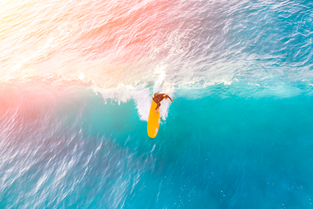 The Perfect Wave Surf trips