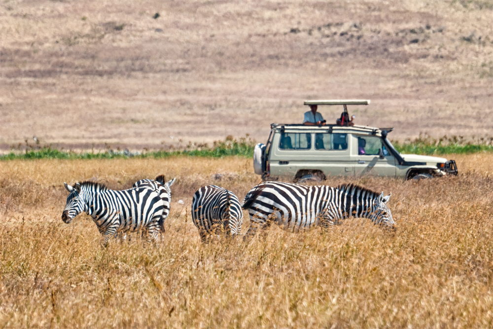South Africa And Kenya