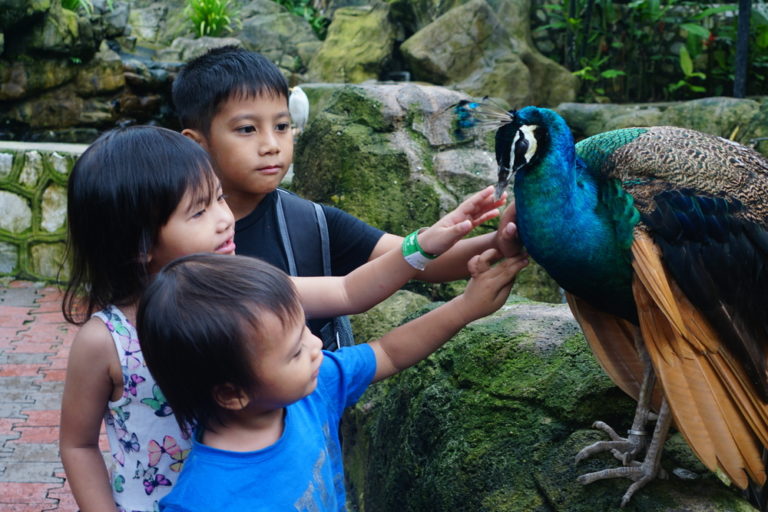KL Bird Park Kuala Lumpur