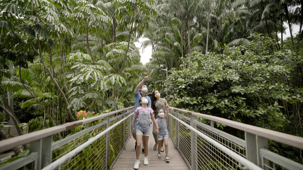 The Quest For Lost Gold In Fort Siloso