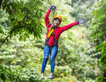Amazing Summer Forest Adventure With Zip Line At Noah’s Ark, Hong Kong
