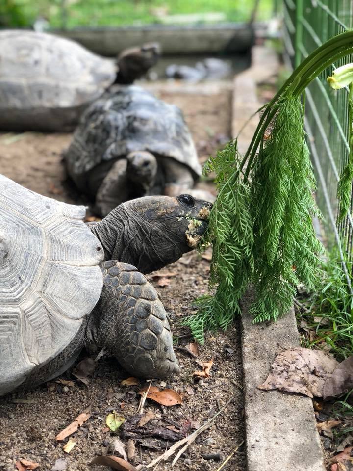 10 Unique Activities When You Are Stuck In HK This Summer - Holiday Park