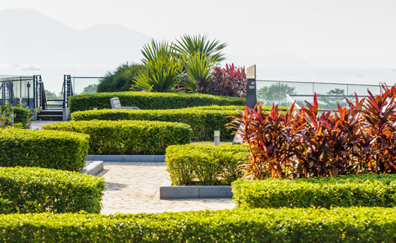 10 Unique Activities When You Are Stuck In HK This Summer - T-PARK
