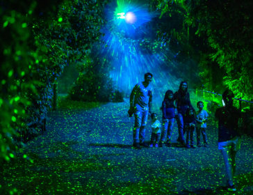 Final Season Of Rainforest Lumina Lights Up Singapore Zoo