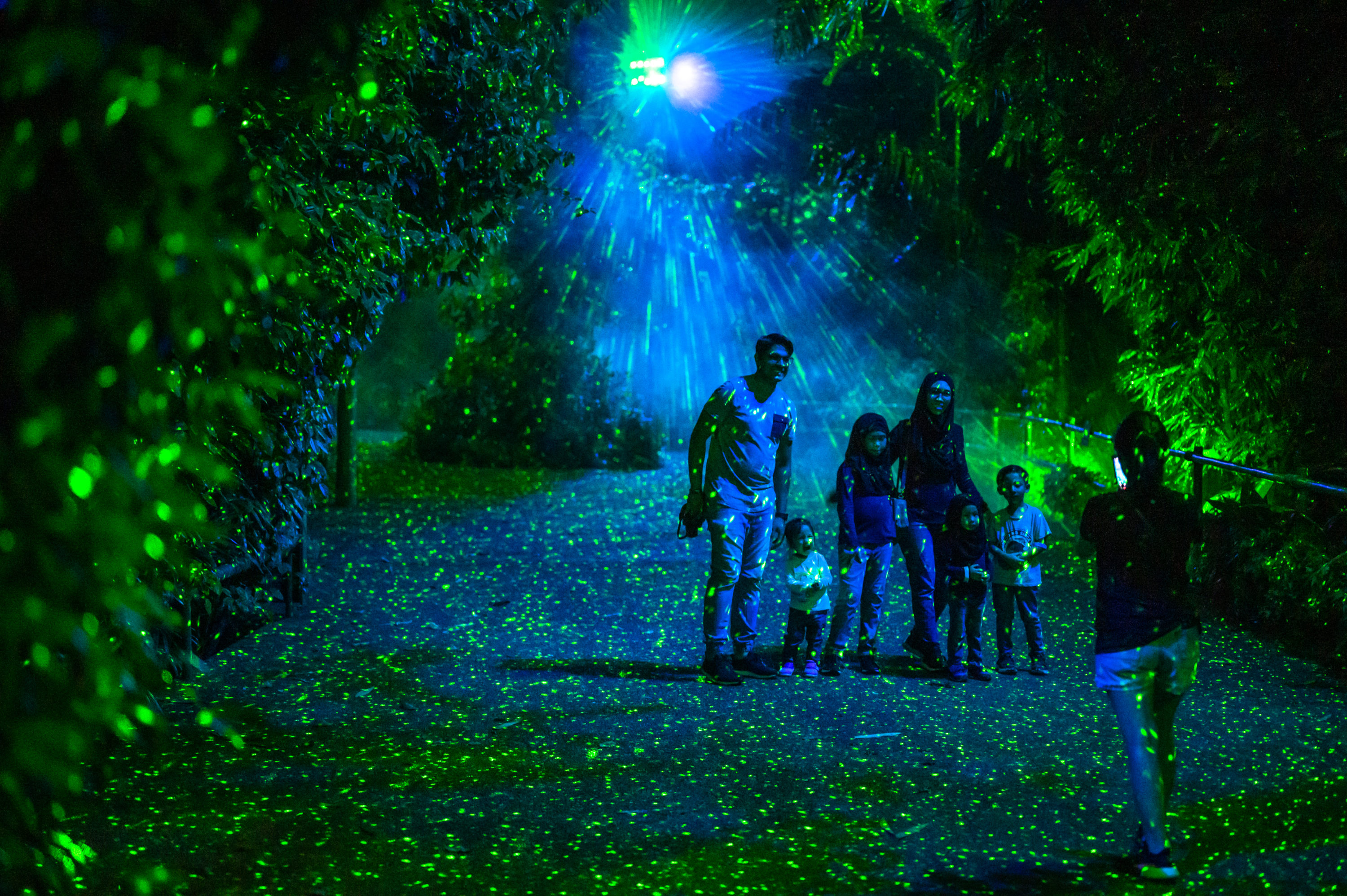Rainforest Lumina Light Up In Singapore