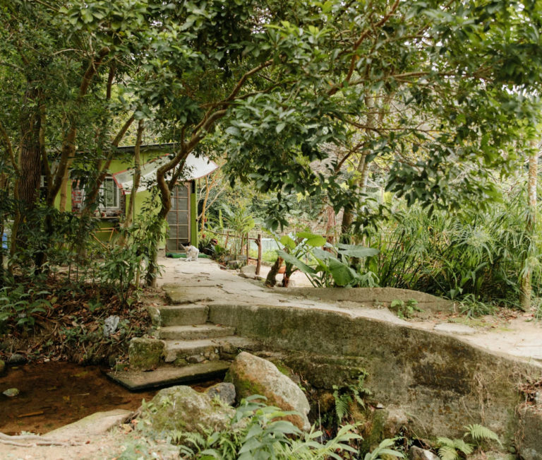 Ark Eden Wild Adventures in Hong Kong for Families
