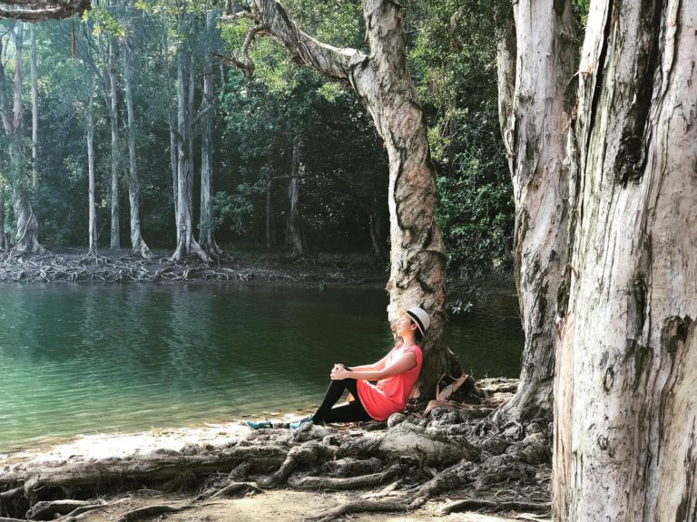 Forest Bathing Wild Adventures in Hong Kong for Families