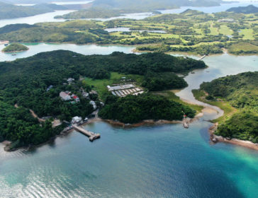 Visit The Abandoned ‘Ghost Island’ In Sai Kung, Hong Kong