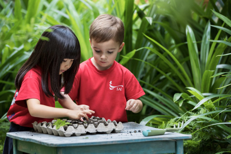 Planting Singapore American School Singapore