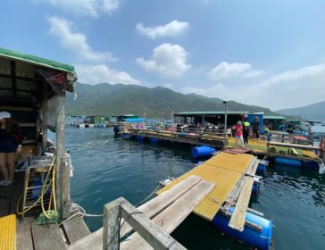 Rent A Floating Pier For The Day At Wake2Chill Watersports In Sai Kung