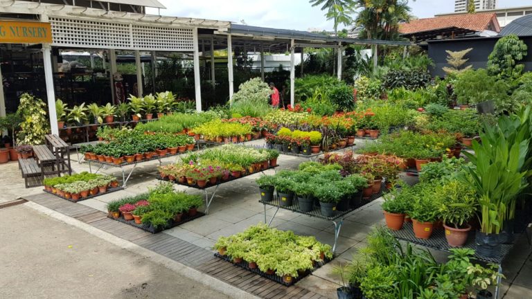 Chin Ling Nursery