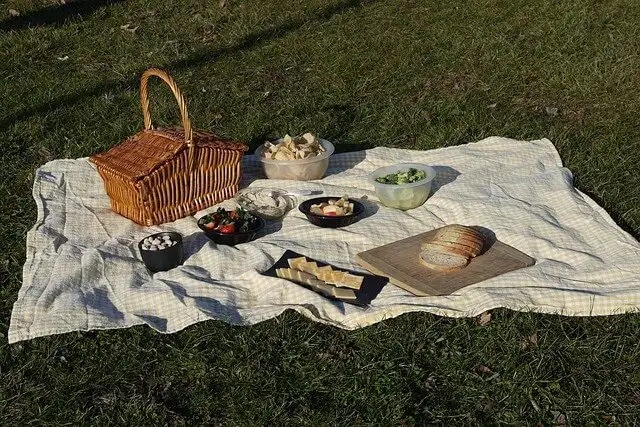 The-Shake-Affinity-Picnics-Singapore