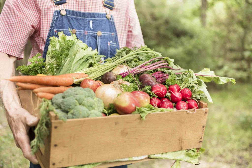 Enjoy Farm Fresh Organic Foods At The Fivelements Re-Opened Farmers Market