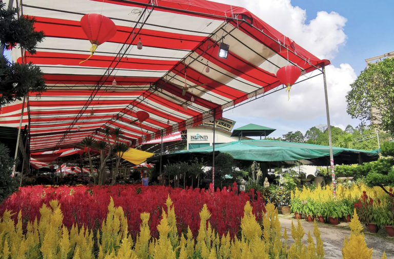 Island Landscape And Nursery