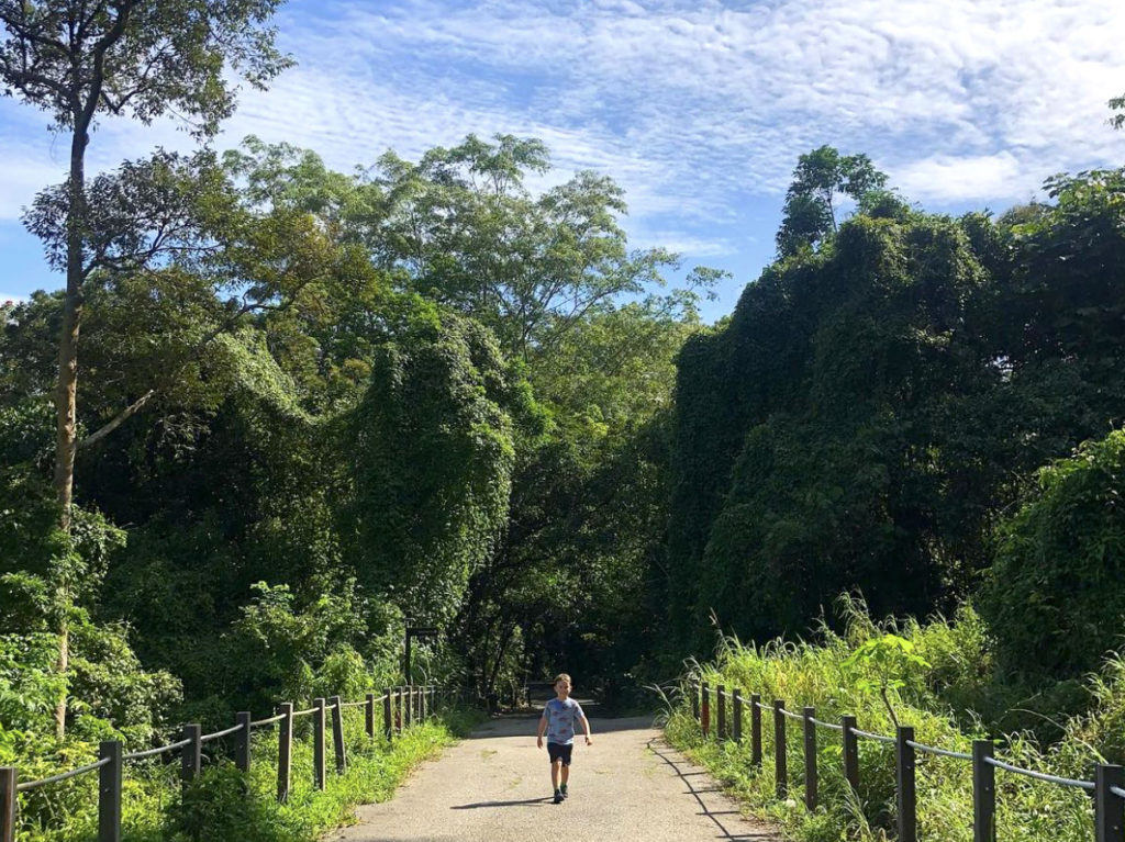 Unique-Adventures-For-Kids-In-Singapore